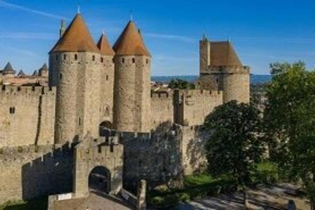 Spacieux Appartement Au Pied De La Cite Medievale การ์กาซอน ภายนอก รูปภาพ